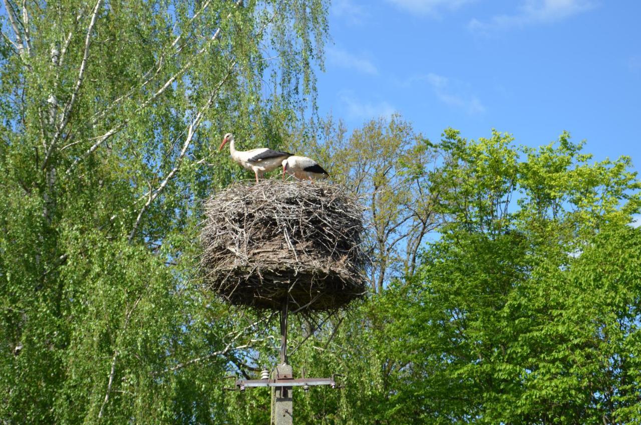 Domek Caloroczny Marko Węgorzewo Esterno foto